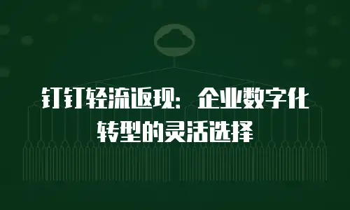 钉钉轻流返现：企业数字化转型的灵活选择