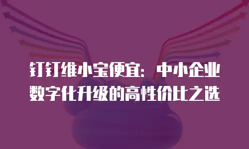 钉钉维小宝便宜：中小企业数字化升级的高性价比之选