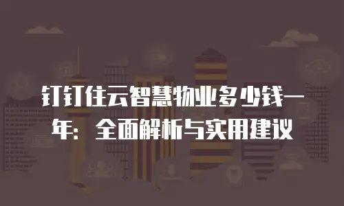 钉钉住云智慧物业多少钱一年：全面解析与实用建议
