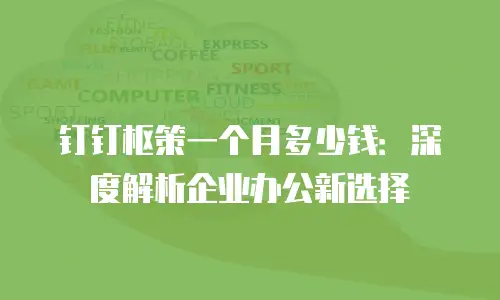 钉钉枢策一个月多少钱：深度解析企业办公新选择