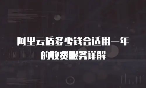 阿里云盾多少钱合适用一年的收费服务详解