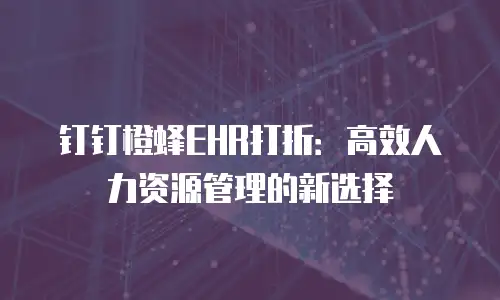 钉钉橙蜂EHR打折：高效人力资源管理的新选择