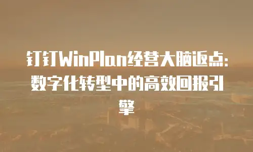 钉钉WinPlan经营大脑返点：数字化转型中的高效回报引擎