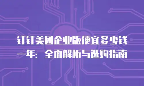 钉钉美团企业版便宜多少钱一年：全面解析与选购指南