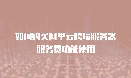 如何购买阿里云跨境服务器服务费功能使用
