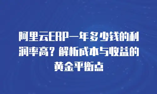 阿里云ERP一年多少钱的利润率高？解析成本与收益的黄金平衡点