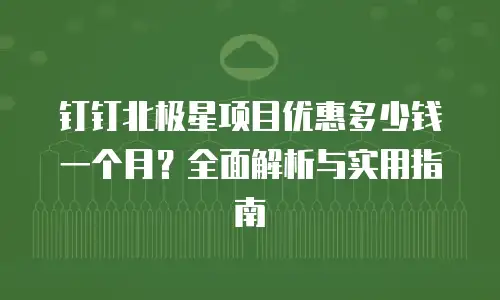 钉钉北极星项目优惠多少钱一个月？全面解析与实用指南