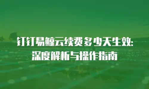钉钉易鲸云续费多少天生效：深度解析与操作指南