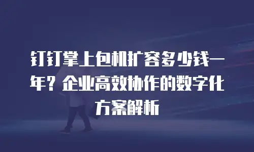钉钉掌上包机扩容多少钱一年？企业高效协作的数字化方案解析