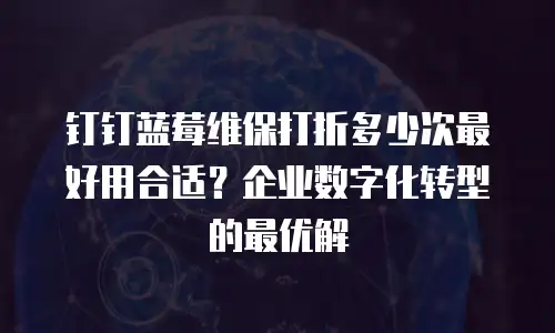 钉钉蓝莓维保打折多少次最好用合适？企业数字化转型的最优解