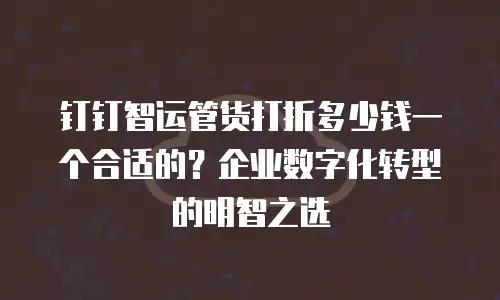 钉钉智运管货打折多少钱一个合适的？企业数字化转型的明智之选