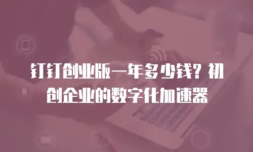 钉钉创业版一年多少钱？初创企业的数字化加速器