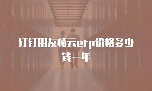 钉钉用友畅云erp价格多少钱一年