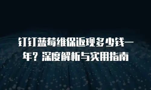 钉钉蓝莓维保返现多少钱一年？深度解析与实用指南