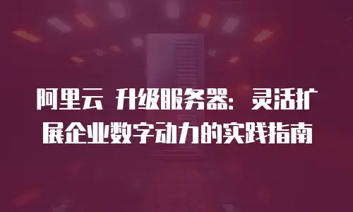 阿里云 升级服务器：灵活扩展企业数字动力的实践指南