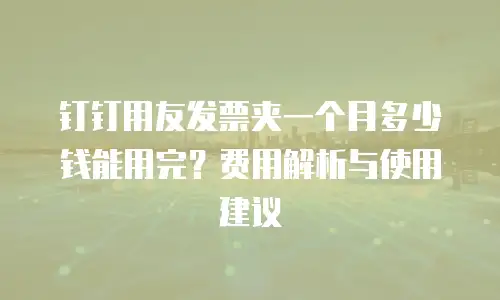 钉钉用友发票夹一个月多少钱能用完？费用解析与使用建议