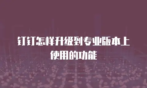 钉钉怎样升级到专业版本上使用的功能