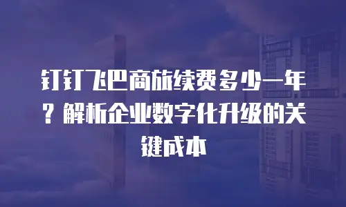 钉钉飞巴商旅续费多少一年？解析企业数字化升级的关键成本
