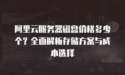 阿里云服务器磁盘价格多少个？全面解析存储方案与成本选择
