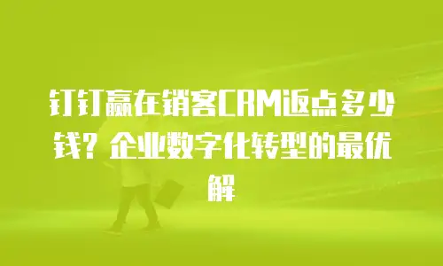 钉钉赢在销客CRM返点多少钱？企业数字化转型的最优解