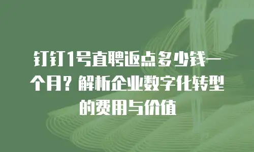 钉钉1号直聘返点多少钱一个月？解析企业数字化转型的费用与价值