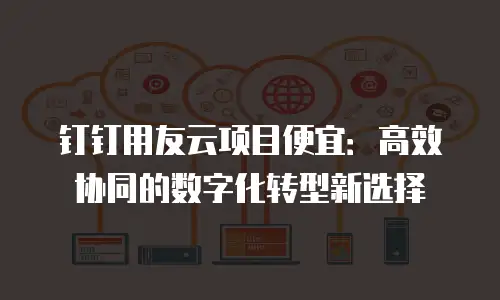 钉钉用友云项目便宜：高效协同的数字化转型新选择