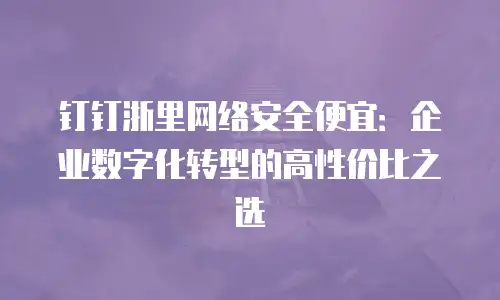 钉钉浙里网络安全便宜：企业数字化转型的高性价比之选