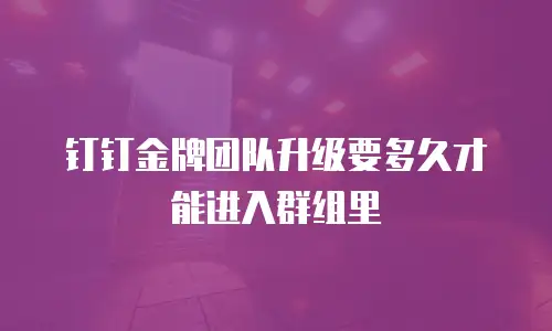 钉钉金牌团队升级要多久才能进入群组里