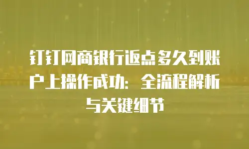 钉钉网商银行返点多久到账户上操作成功：全流程解析与关键细节