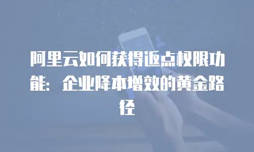 阿里云如何获得返点权限功能：企业降本增效的黄金路径