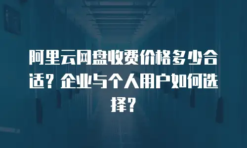 阿里云网盘收费价格多少合适？企业与个人用户如何选择？