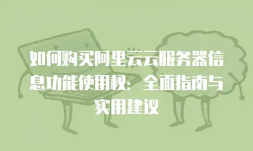 如何购买阿里云云服务器信息功能使用权：全面指南与实用建议