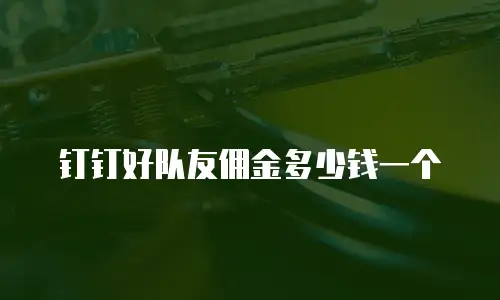 钉钉好队友佣金多少钱一个