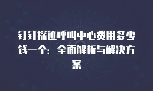 钉钉探迹呼叫中心费用多少钱一个：全面解析与解决方案
