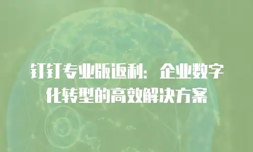 钉钉专业版返利：企业数字化转型的高效解决方案