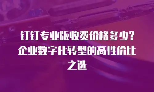 钉钉专业版收费价格多少？企业数字化转型的高性价比之选