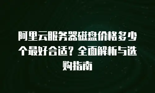 阿里云服务器磁盘价格多少个最好合适？全面解析与选购指南