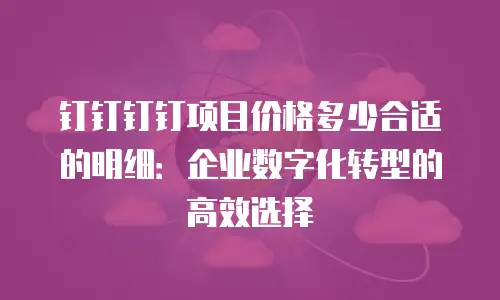 钉钉钉钉项目价格多少合适的明细：企业数字化转型的高效选择