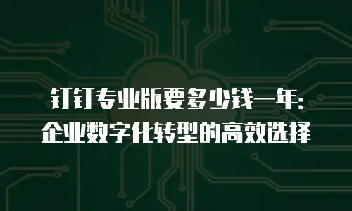 钉钉专业版要多少钱一年：企业数字化转型的高效选择