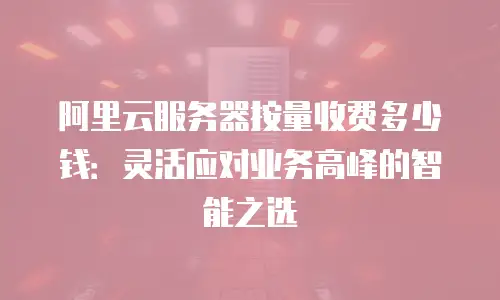 阿里云服务器按量收费多少钱：灵活应对业务高峰的智能之选