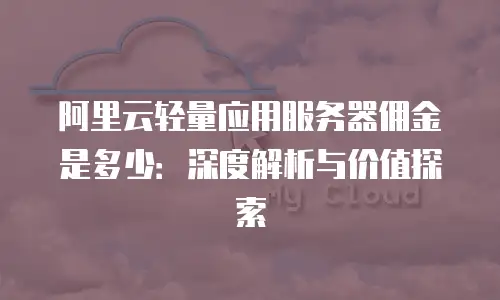 阿里云轻量应用服务器佣金是多少：深度解析与价值探索