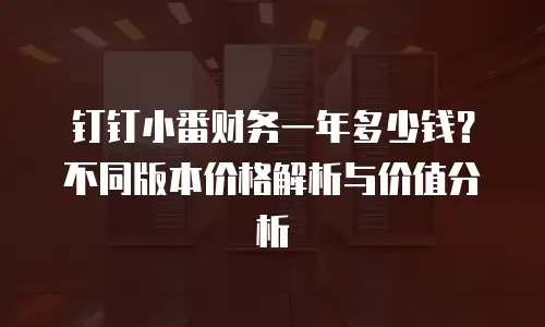 钉钉小番财务一年多少钱？不同版本价格解析与价值分析
