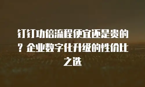 钉钉功倍流程便宜还是贵的？企业数字化升级的性价比之选