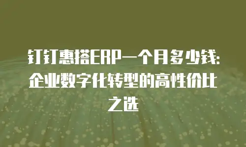 钉钉惠搭ERP一个月多少钱：企业数字化转型的高性价比之选