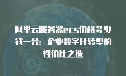 阿里云服务器ecs价格多少钱一台：企业数字化转型的性价比之选
