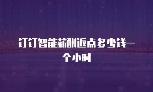 钉钉智能薪酬返点多少钱一个小时