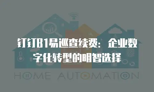 钉钉B1易巡查续费：企业数字化转型的明智选择