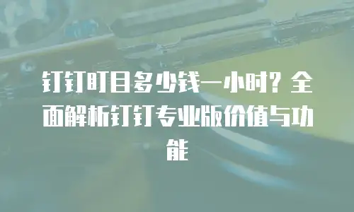 钉钉盯目多少钱一小时？全面解析钉钉专业版价值与功能
