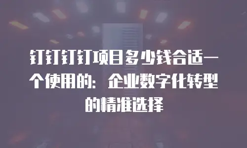 钉钉钉钉项目多少钱合适一个使用的：企业数字化转型的精准选择