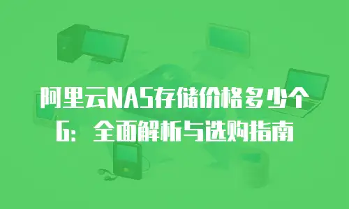 阿里云NAS存储价格多少个G：全面解析与选购指南
